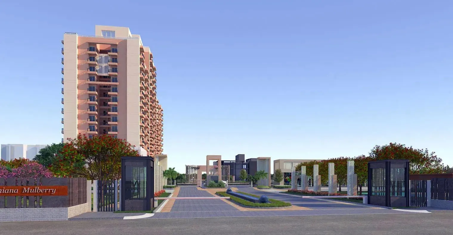 Ashiana Mulberry Blossom