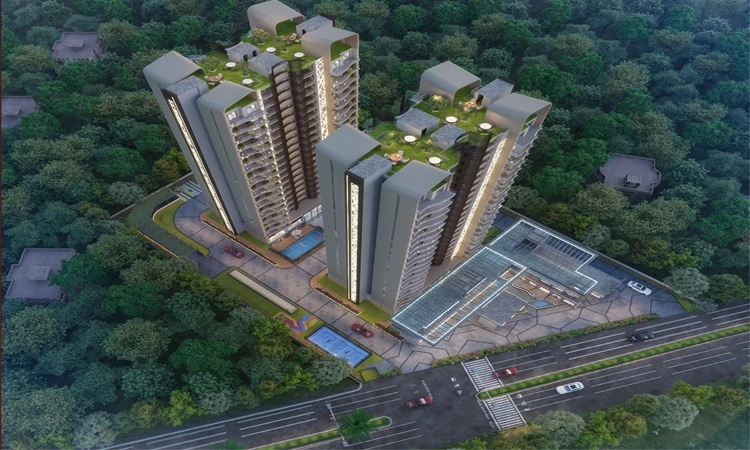 Lamose Gratitude 84 Highlight Image