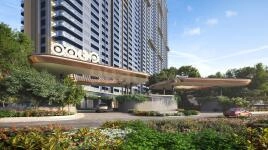 About Project About Image