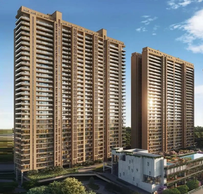 About Project About Image