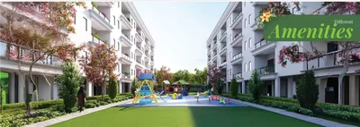 About Project About Image