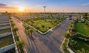 About Project About Image