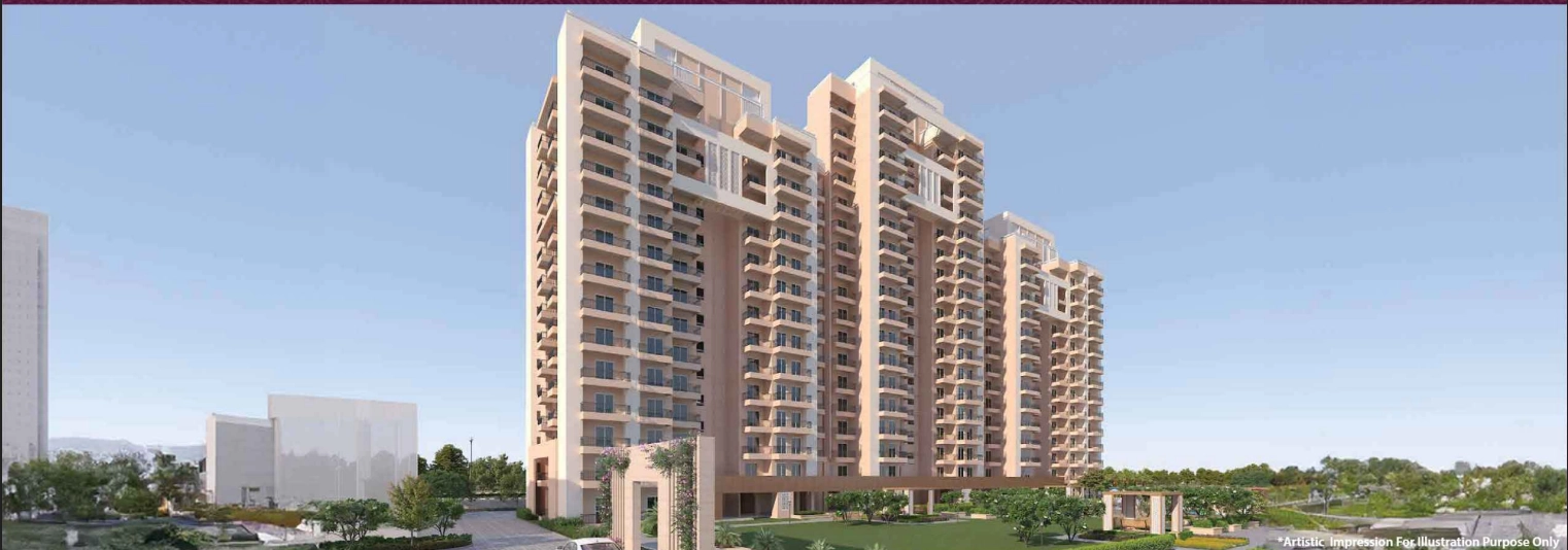 About Project About Image