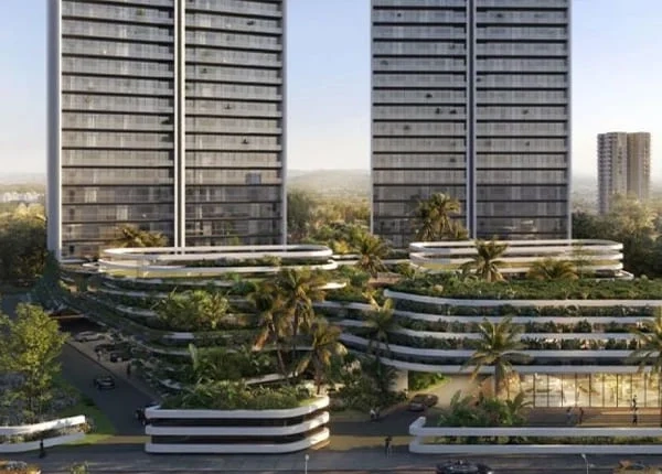 About Project About Image