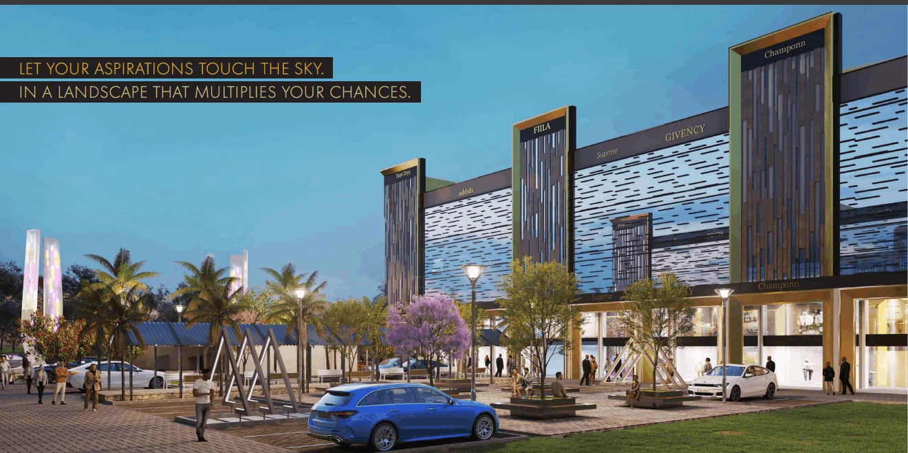 About Project About Image