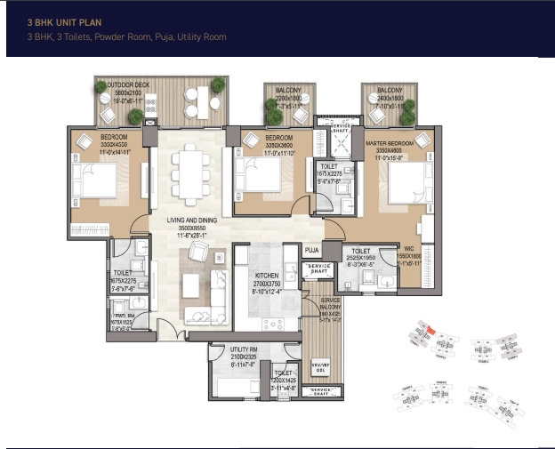 Signature De-Luxe DXP