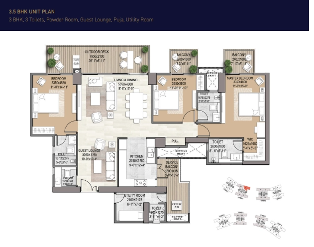 Signature De-Luxe DXP