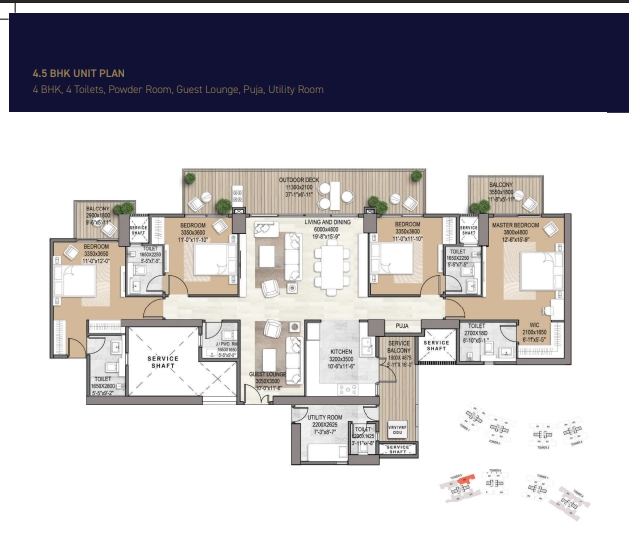 Signature De-Luxe DXP